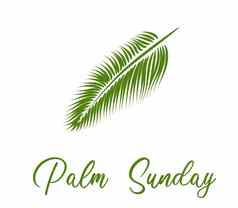 棕榈周日周复活节横幅卡棕榈叶