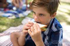 男孩三明治野餐公园