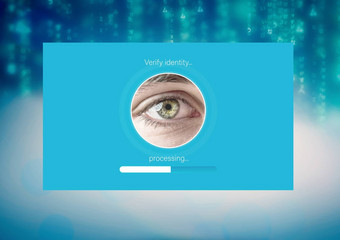 身份眼睛验证应用程序接口