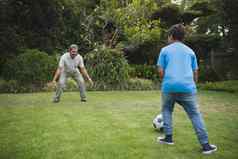 男孩玩足球祖父公园