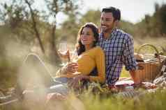 微笑年轻的夫妇持有葡萄酒杯放松野餐毯子