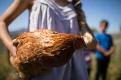 女孩携带母鸡农场