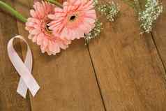 高角视图粉红色的乳房癌症意识丝带非洲菊花