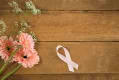 开销视图粉红色的乳房癌症意识丝带非洲菊花