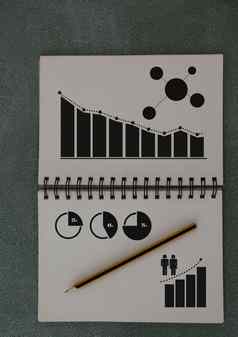 业务图表统计数据画记事本