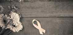 直接视图粉红色的乳房癌症意识丝带非洲菊花