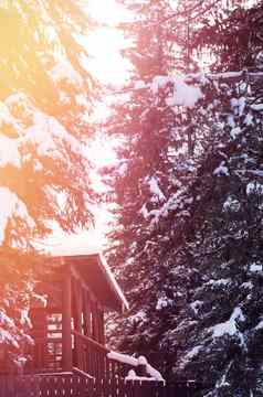 小屋在雪覆盖树