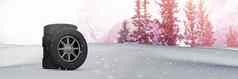 轮胎冬天雪景观