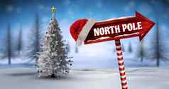 北波兰木路标圣诞节冬天景观圣诞老人他圣诞节树
