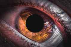 极端的细节人类学生是的虹膜发红眼睛人类发炎结膜眼球愤怒眼睛男人。
