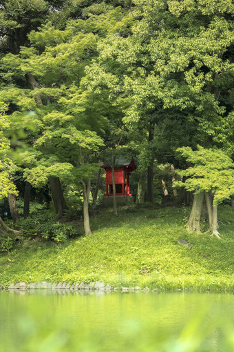 神社朱砂红色的神道教湖胰岛小石川
