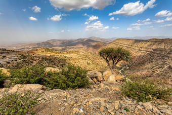 埃塞俄比亚景观埃塞俄比亚非洲荒野