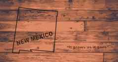 墨西哥地图品牌