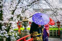 旅游穿日本传统的和服樱桃开花春天《京都议定书》寺庙日本