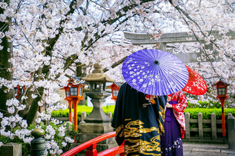 旅游穿日本传统的<strong>和服樱</strong>桃开花春天《京都议定书》寺庙日本