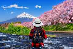 旅游樱桃花朵富士山静冈市日本