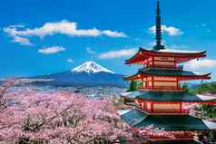 樱桃花朵春天Chureito宝塔富士山日本