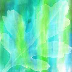 透明的橡木叶子蓝绿色水彩背景