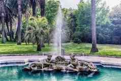 美丽的经典喷泉城市中心罗马意大利