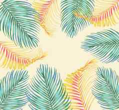 框架热带棕榈叶子热带主题模板