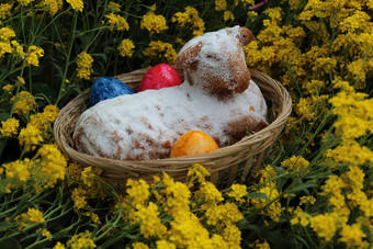 复活节羊肉复活节彩蛋甜蜜的香雪球