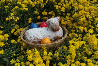 复活节羊肉复活节彩蛋甜蜜的香雪球