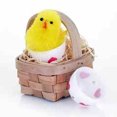 复活节小鸡新兴玩具复活节蛋