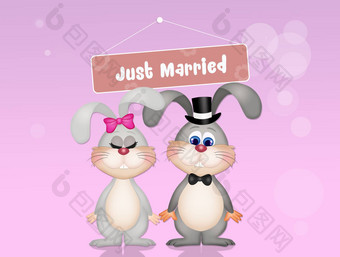 婚礼小兔子