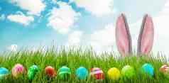 有趣的复活节兔子耳朵鸡蛋草
