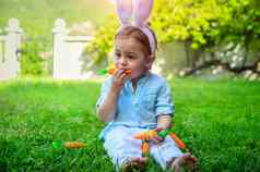 复活节婴儿兔子吃胡萝卜