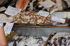 摊位鱼贝类中央市场