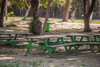 野餐区域表以色列草裙舞谷公园夏天一天