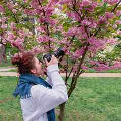 年轻的快乐微笑红发女人白色毛衣蓝色的围巾需要图片开花粉红色的樱花树公园城市基辅乌克兰
