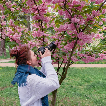 年轻的快乐微笑红发女人白色毛衣蓝色的围巾需要<strong>图片</strong>开花粉红色的樱花树公园城市基辅乌克兰