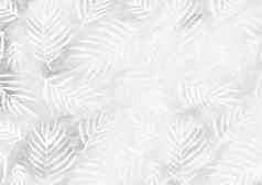白色棕榈叶子模式空银纸背景