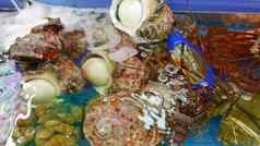 贝类龙虾壳牌湿市场