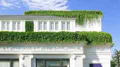 国家房子绿色植物建筑屋顶