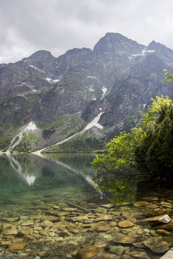 美丽的夏天高山山湖视图覆盖绿色树阳光天空反射山水水晶清晰的水欧洲阿尔卑斯山脉