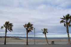 棕榈树海滩瓦伦西亚西班牙全景多云的海滩波海空春天海滩地中海海瓦伦西亚西班牙