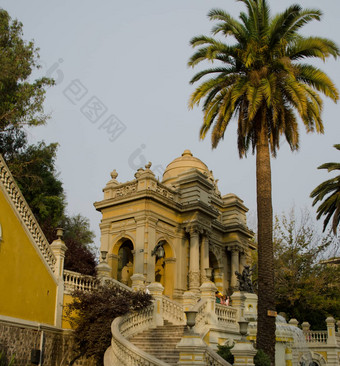 建筑金丝雀岛日期棕榈凤凰城canariensis