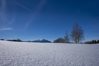 清晰的蓝色的天空雪山瑞士zugerb