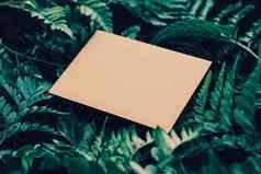 空白信封绿色叶子自然纸卡后台支持