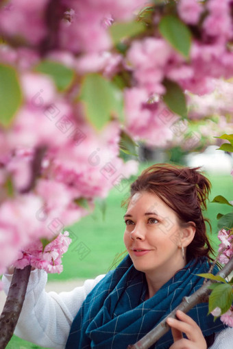 肖像年轻的快乐微笑红发女人白色毛衣蓝色的围巾开花粉红色的樱花树花城市公园基辅乌克兰