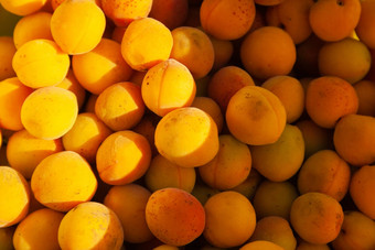 堆杏子