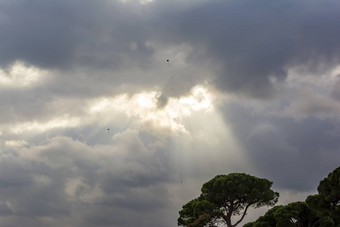 飞行风筝传统绿色周一雅典希腊