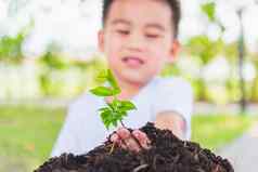 手亚洲可爱的快乐的孩子男孩种植年轻的树