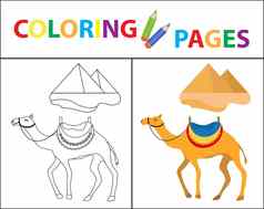 着色书页面骆驼金字塔草图大纲颜色版本着色孩子们儿童教育插图