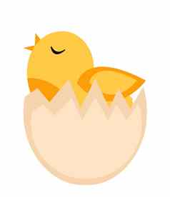 雏鸟孵出蛋黄色的鸡图标平风格孤立的白色背景插图剪辑艺术