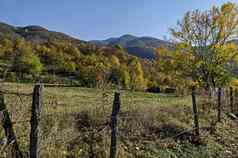 令人惊异的秋天视图快乐山森林落叶树漂亮的村日列比奇科布拉齐格的直辖市洛多佩山
