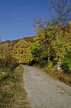 令人惊异的秋天视图快乐山森林落叶树路漂亮的村日列比奇科布拉齐格的直辖市洛多佩山